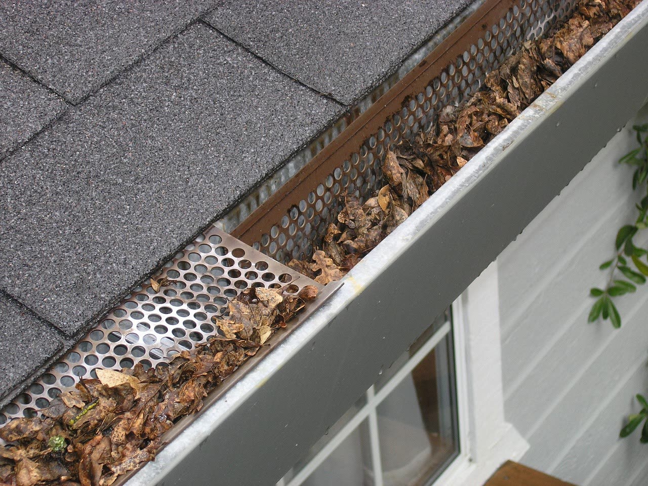 Leaves gathered in a residential roof gutter beside a pitched roof
